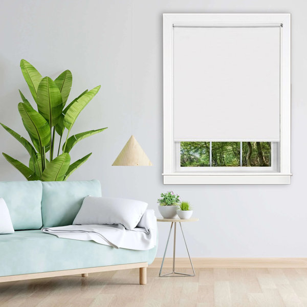 Latitude Run® Lilie Tear Down Room Darkening Roller Shade & Reviews